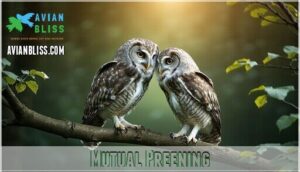 mutual preening