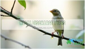 nasal discharge types