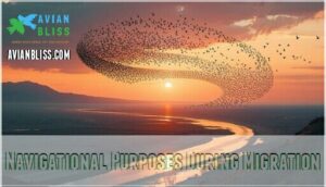 navigational purposes during migration navigational purposes during migration