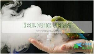 nebulization therapy