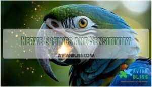 nerve endings and sensitivity