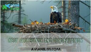 nest protection and conservation nest protection and conservation