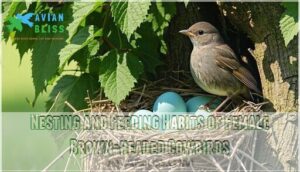 nesting and feeding habits of female brown-headed cowbirds