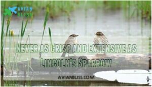 never as crisp and extensive as lincoln's sparrow