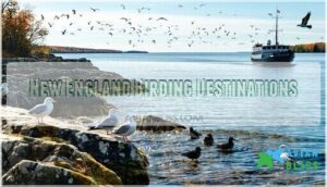 new england birding destinations