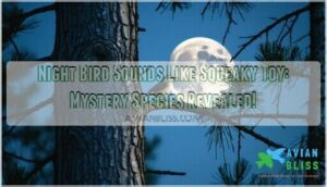 night bird sounds like squeaky toy night bird sounds like squeaky toy