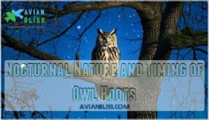 nocturnal nature and timing of owl hoots