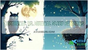 nocturnal vs. diurnal sleep patterns