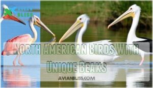 north american birds with unique beaks