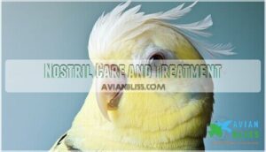 nostril care and treatment