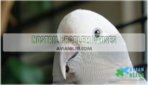 nostril problem causes