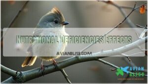 nutritional deficiencies effects nutritional deficiencies effects
