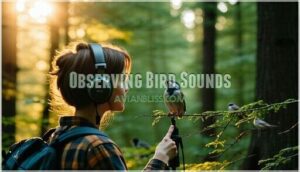 observing bird sounds