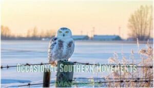 occasional southern movements