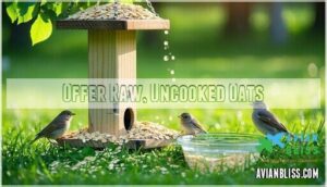 offer raw, uncooked oats