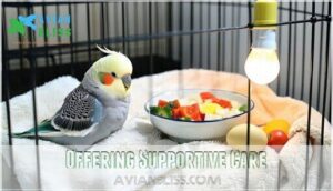 offering supportive care