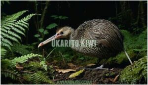okarito kiwi