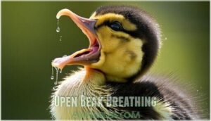 open beak breathing