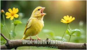 open-mouth panting