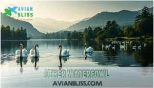 other waterfowl