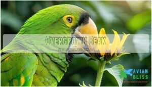overgrown beak