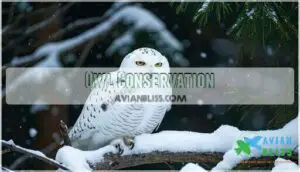 owl conservation