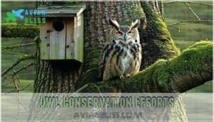 owl conservation efforts
