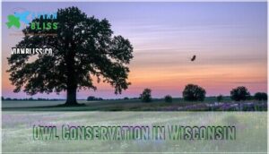 owl conservation in wisconsin
