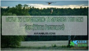 owls in wisconsin