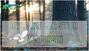 owls you can see in wisconsin