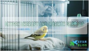 oxygen therapy and warmth support