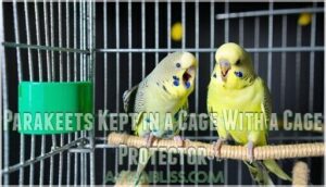 parakeets kept in a cage with a cage protector