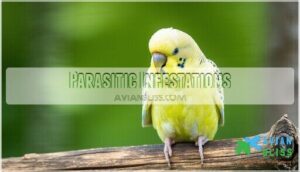 parasitic infestations