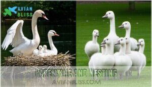 parenting and nesting