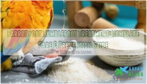 parrot foot bumblefoot treatment