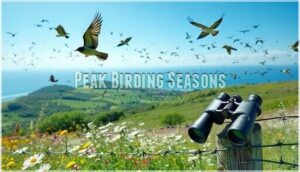 peak birding seasons