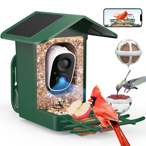 Bird Feeder with Camera Solar