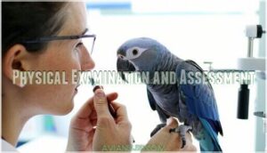 physical examination and assessment