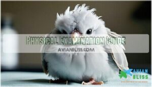 physical examination guide physical examination guide