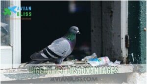 pigeon pet disadvantages