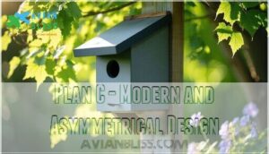 plan c - modern and asymmetrical design