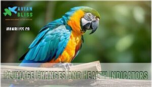 plumage changes and health indicators