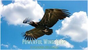 powerful wingbeats