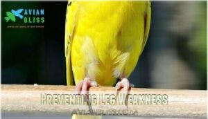 preventing leg weakness