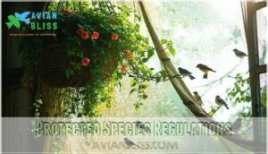 protected species regulations
