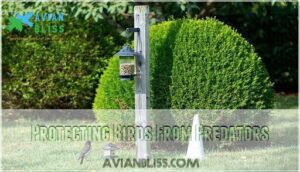 protecting birds from predators protecting birds from predators