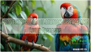proventricular dilatation disease and liver diseases