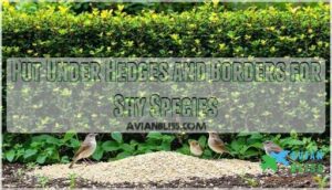 put under hedges and borders for shy species