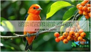 rare orange bird species
