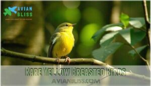 rare yellow breasted birds